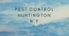 Photo for Pest Control Huntngton NY