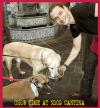 Photo for 3Dog Cantina