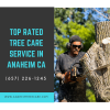 Photo for Tree Trimming Anaheim CA