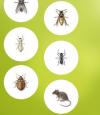 Photo for Ampm Exterminators