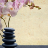 Photo for Trinity Massage