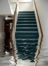 Photo for The Flood Fighters
