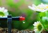 Photo for Drip Irrigation Market- Trends, Outlook, and Opportunity Analysis, 2018-2026