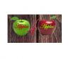 Photo for (Apples 4 Apples) Aussie Catering Company