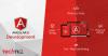 Photo for hire angular js developer