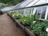 Photo for Brainer's Greenhouse