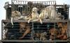 Photo for A Maze'n Farmyard LLC