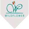 Photo for Wildflower Development