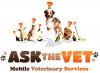 Photo for Importance of Pet Dental Specialist