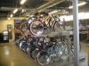 Photo for Tempe Bicycle