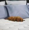 Photo for Mattress Warehouse