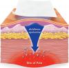 Photo for Diclofenac Patches Market trend, outlook 2026