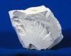 Photo for U.S. Kaolin Market Analysis and Growth Opportunities, 2014 to 2025