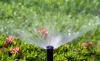Photo for Coastal Sprinkler Systems LLC