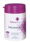 Photo for Galanga+ pour Défenses naturelles et Résistance aux allergies