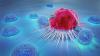 Photo for Fallopian Tube Cancer Market: Drivers, Regional Analysis, and Competitive Landscape 2026