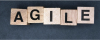 Photo for Agile Consulting Services in Bangalore