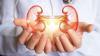Photo for Chronic Kidney Disease Drugs Market Global Forecast to 2026