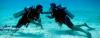 Photo for Padi Divemaster