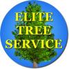 Photo for Elite Tree Service