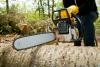Photo for Evergreen Tree Service
