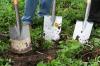 Photo for Glyphosate Market Analysis and Growth Opportunities, 2016 to 2024