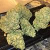 Photo for How to buy weed in Ontario for recreational and medical purpose