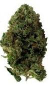 Photo for Arizona Vapor Room