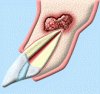 Photo for Suffering from Tooth pain? Visit Best Dental Clinic in Delhi