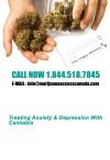 Photo for Medical Marijuana Clinic in Canada | Marijuanaaccesscanada