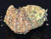 Photo for All Greens Dispensary