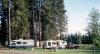 Photo for Big Tree RV Park