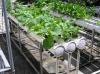 Photo for USA Hydro Garden Inc.