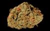 Photo for Element 420