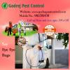 Photo for Enjoy the Pest Free Summer in Your Home – Godrej Pest Control
