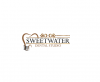 Photo for dental care services in sugar land