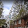 Photo for Engram's Tree Service