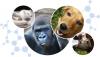 Photo for Animal Welfare NGOs In Amritsar