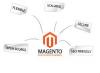 Photo for Cost Effective Magento Development by Veepal IT Services