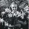 Photo for Brainer's Greenhouse