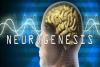 Photo for Neurodegenerative Disease Treatment Market - Size, Growth, Trends and Analysis, 2018-2026