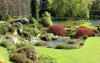 Photo for Benavides Gardening