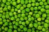Photo for Pea Protein Market Overview, Trends and Future Outlook,  2016 to 2024