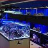 Photo for Underwater World Union