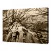 Photo for •	Available Painting Categories by Wow Art Paintings