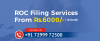 Photo for ROC Filing Services