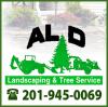 Photo for AL D Landscaping and tree service