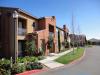 Photo for Visalia | All American Painting - Quality At It's Finest