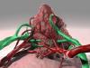 Photo for Peptide Cancer Vaccine Market Global Insights, 2018-2026