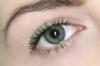 Photo for The Diamond Vision Laser Center of New Paltz
